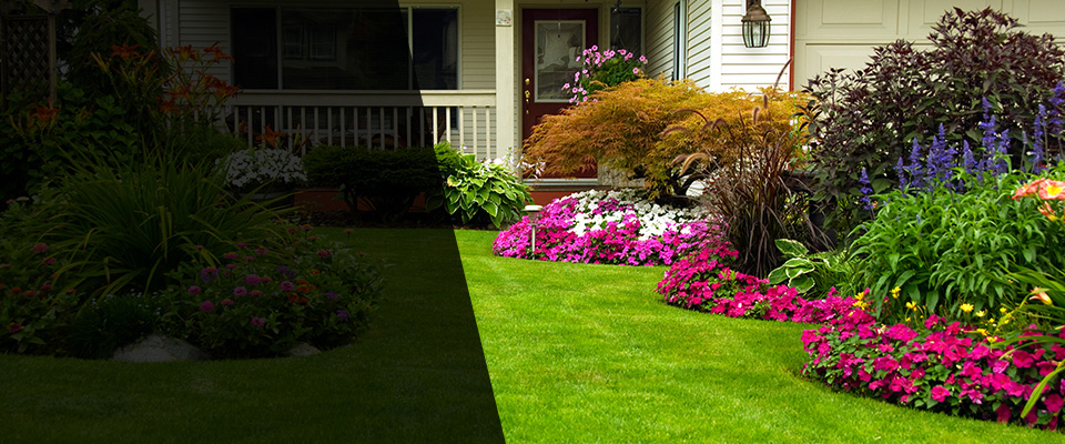 Hereford Landscapers