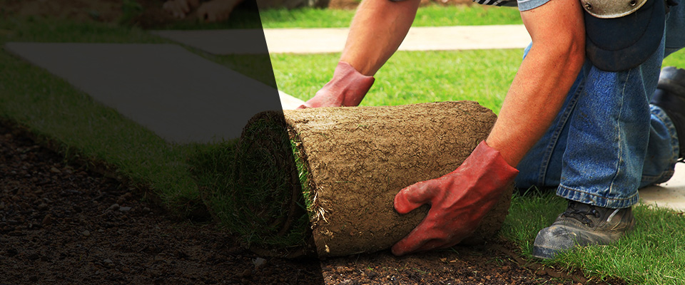 Hereford Landscapers